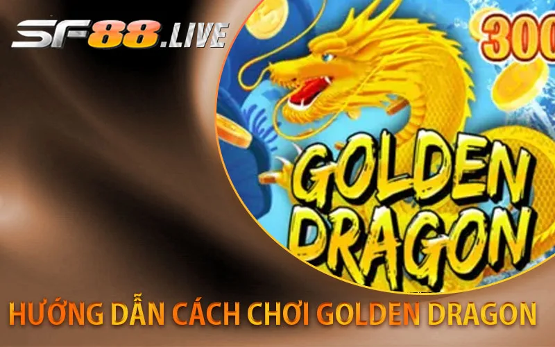 hướng-dẫn-cách-chơi-golden-dragon